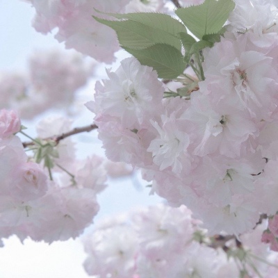 Furry创作脑洞合集兽圈社群